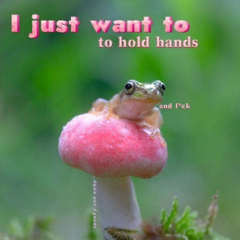 This meme is an image of a frog sitting on a mushroom, with a caption that reads "I just want to be alone" in a playful, childlike font. The frog is looking directly at the camera with a mix of sadness and longing in its expression, as if it's trying to convey its desire for solitude. The caption is a humorous take on the idea of wanting to be alone, and the frog's adorable and relatable expression adds to the meme's charm.
